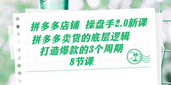 拼多多店铺操盘手2.0新课，拼多多卖货的底层逻辑，打造爆款的3个周期（8节）-云启网创