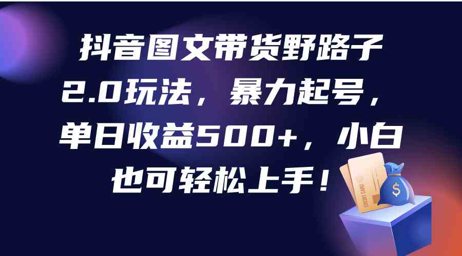 （9790期）抖音图文带货野路子2.0玩法，暴力起号，单日收益500+，小白也可轻松上手！-云启网创