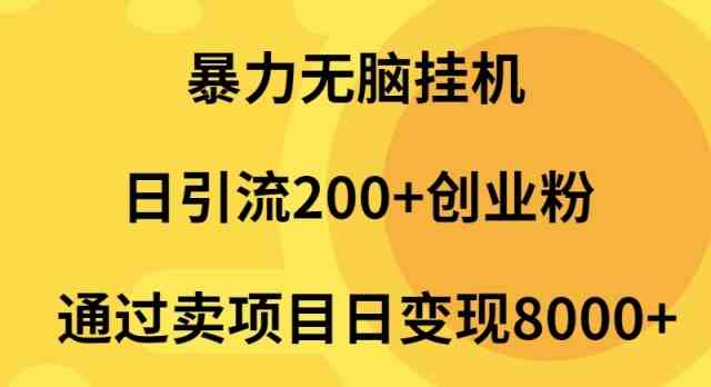 （9788期）暴力无脑挂机日引流200+创业粉通过卖项目日变现2000+-云启网创