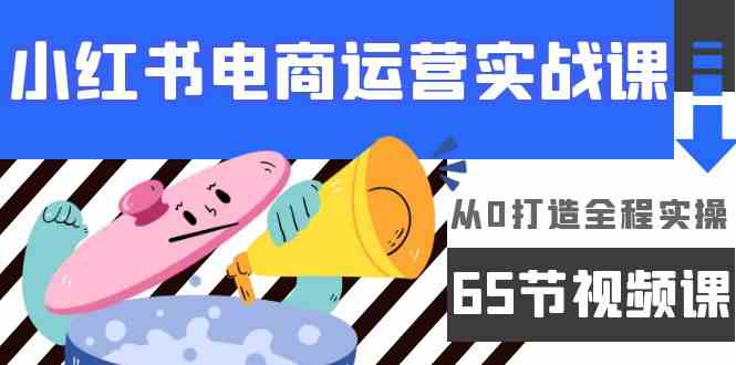 （9724期）小红书电商运营实战课，​从0打造全程实操（65节视频课）-云启网创