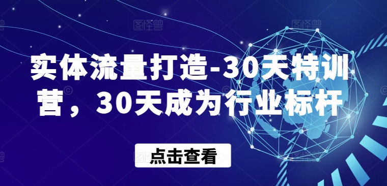 实体流量打造-30天特训营,30天成为行业标杆-云启网创