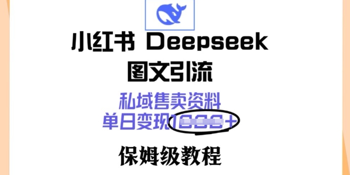 小红书Deepseek图文引流，私域售卖资料，单日变现多张，保姆级教程-云启网创