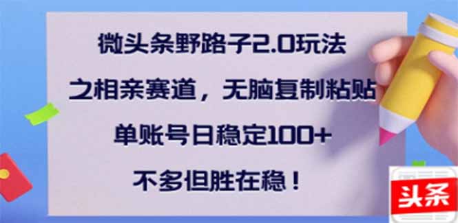 （14334期）微头条野路子2.0玩法之相亲赛道，无脑搬砖复制粘贴，单账号日稳定300+…-云启网创
