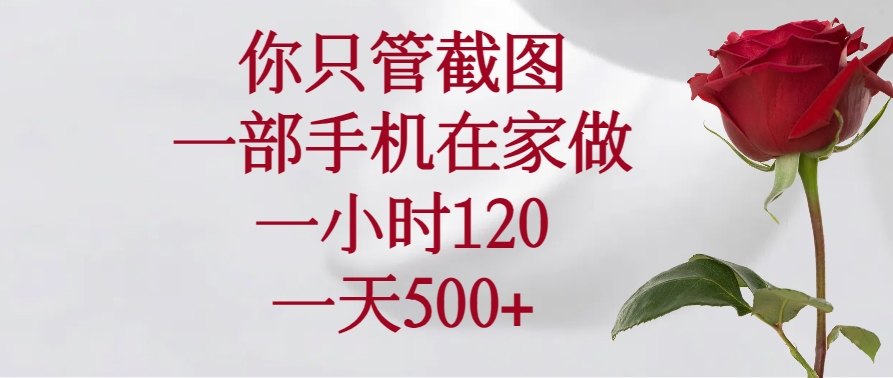 （14248期）你只管截图，一部手机在家做，一小时120，一天500+-云启网创