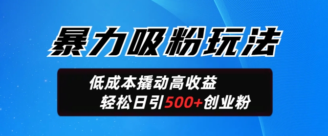 暴力吸粉玩法，日引500+精准创业粉，日变现轻松多张-云启网创
