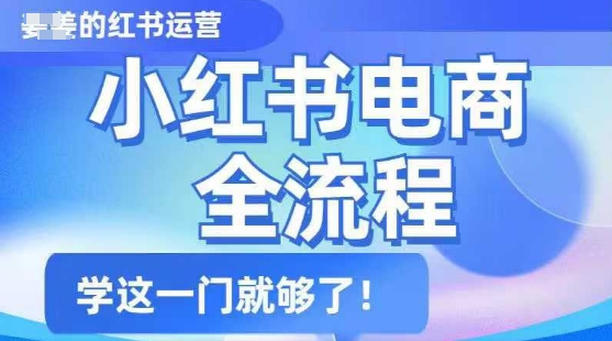 小红书电商全流程，精简易懂，从入门到精通，学这一门就够了-云启网创