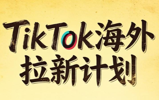 Tc联盟·TikTok海外拉新项目(更新9月)-拾亿云创