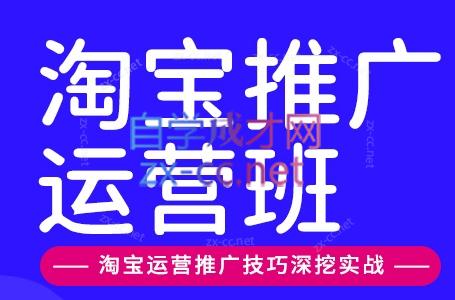 美迪电商·淘宝高级运营班+推广运营班(更新9月)-拾亿云创