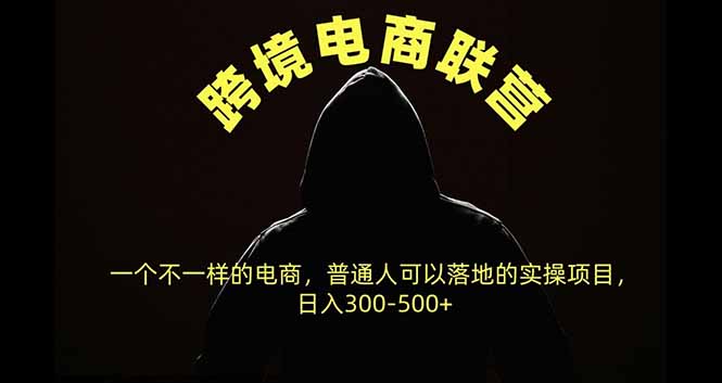 跨境电商联营，一个不一样的电商，普通人可操作日入300-500+-拾亿云创