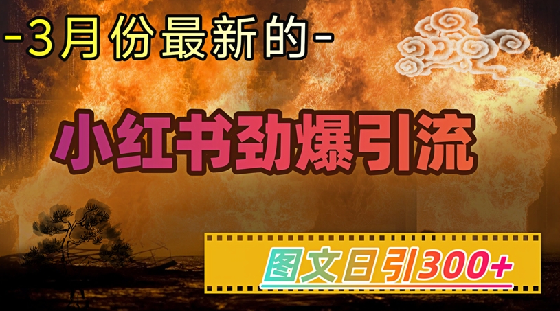 小红书超劲爆引流手段，图文日引300+轻松变现1W-云启网创