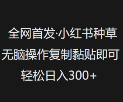 全网首发，小红书种草无脑操作，复制黏贴即可，轻松日入3张-云启网创