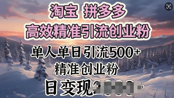 淘宝拼多多高效精准引流创业粉，单人单日引流500+创业粉，日变现多张-云启网创