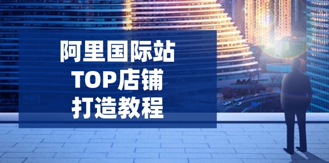 （14269期）阿里国际站TOP店铺打造教程：涵盖平台到高阶，解决运营难题，提升询盘-云启网创