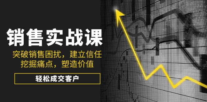 （14297期）销售实战课，突破销售困扰，建立信任，挖掘痛点，塑造价值，轻松成交客户-云启网创
