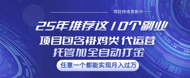 25年推荐这10个副业项目包含褂鸡类、代运营托管类、全自动打金类【揭秘】-云启网创