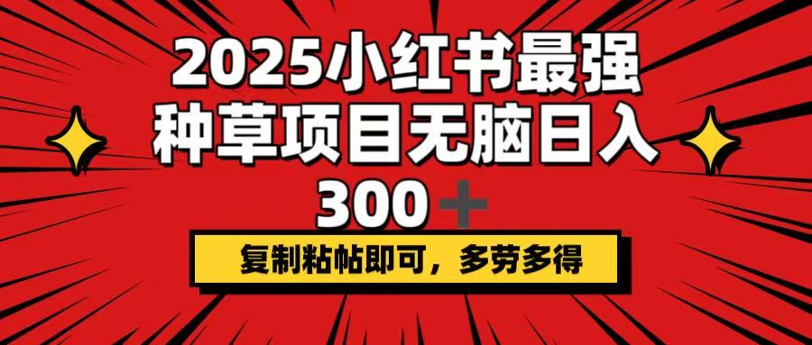 （14375期）2025小红书最强种草项目，无脑日入300+，复制粘帖即可，多劳多得-云启网创