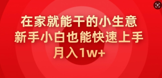 在家就能干的小生意，新手小白也能快速上手，月入1w-云启网创