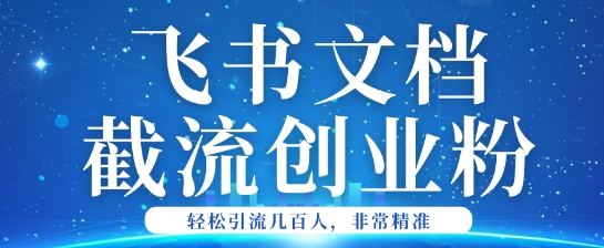 利用飞书文档截流创业粉轻松引流200+-云启网创