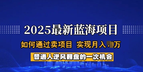 2025蓝海项目，普通人如何通过卖项目，实现月入过W，全过程【揭秘】-云启网创