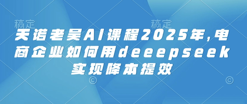 天诺老吴AI课程2025年，电商企业如何用deeepseek实现降本提效-云启网创