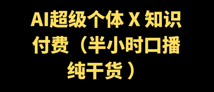 AI超级个体 + 知识付费(半小时口播纯干货 )-云启网创