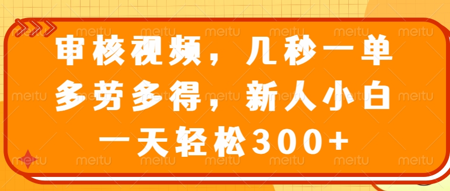 （14294期）审核视频，几秒一单，多劳多得，新人小白一天轻松300+-云启网创