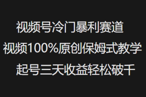 视频号冷门暴利赛道视频100%原创保姆式教学起号三天收益轻松破千-云启网创