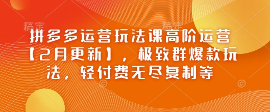 拼多多运营玩法课高阶运营【2月更新】，极致群爆款玩法，轻付费无尽复制等-云启网创