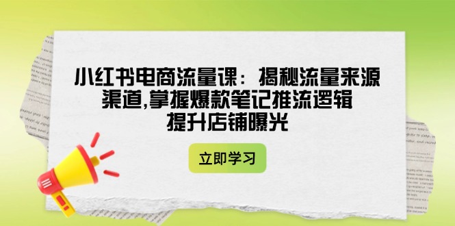（14318期）小红书电商流量课：揭秘流量来源渠道,掌握爆款笔记推流逻辑,提升店铺曝光-云启网创