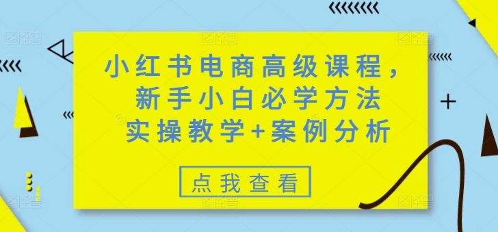 小红书电商高级课程，新手小白必学方法，实操教学+案例分析-云启网创