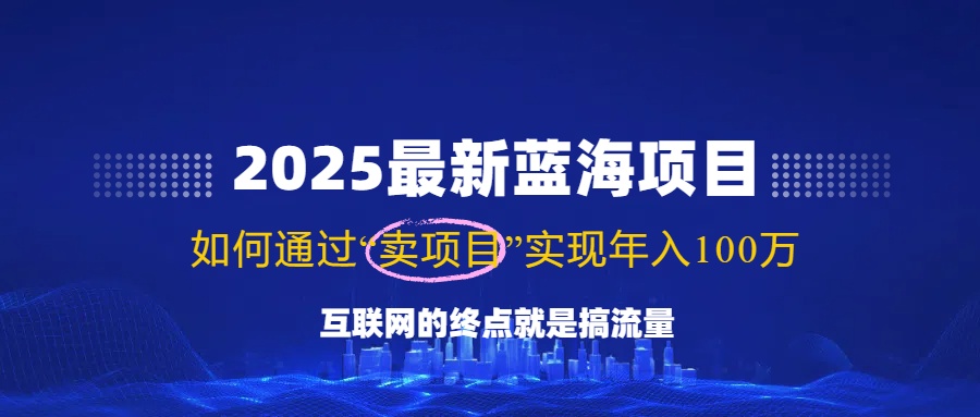 （14305期）2025最新蓝海项目，零门槛轻松复制，月入10万+，新手也能操作！-云启网创